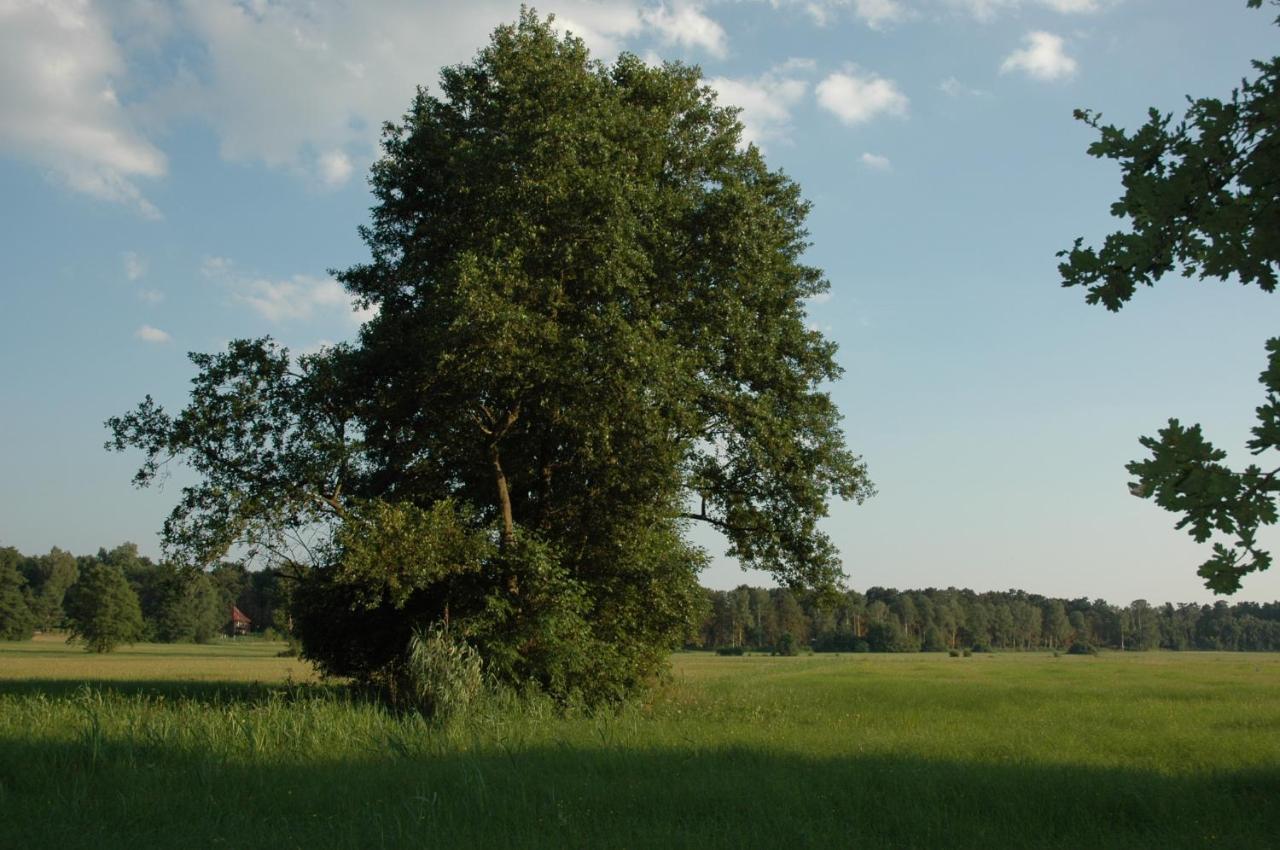 바트 자로 Haus Waldfrieden 아파트 외부 사진
